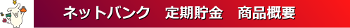 netbank_teiki_gaiyou