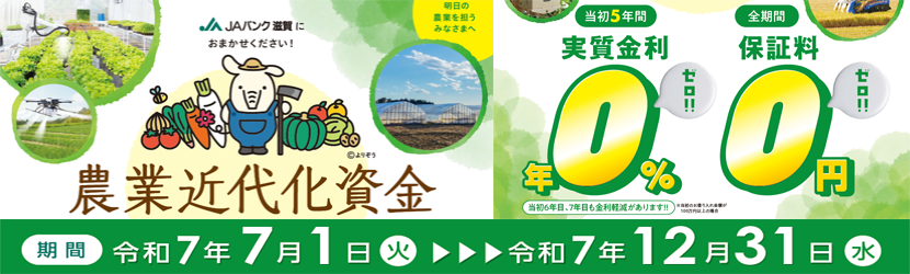 農業資金