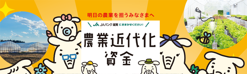 農業資金