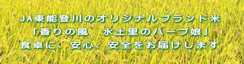 ＪＡ東能登川ハーブ米「香りの風水土里のハーブ娘」